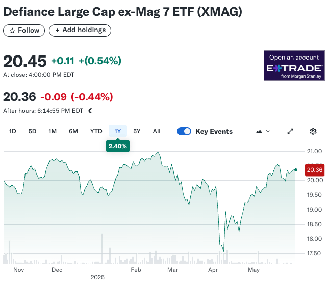 XMAG 1 Year Performance Chart